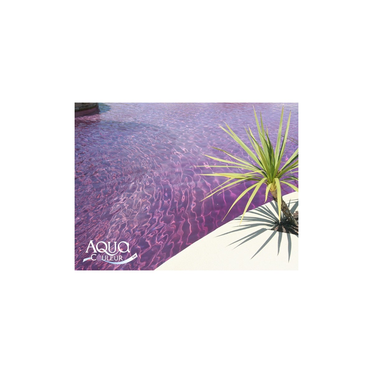 Aqua Couleur- LAVENDER temporary pool water colorant