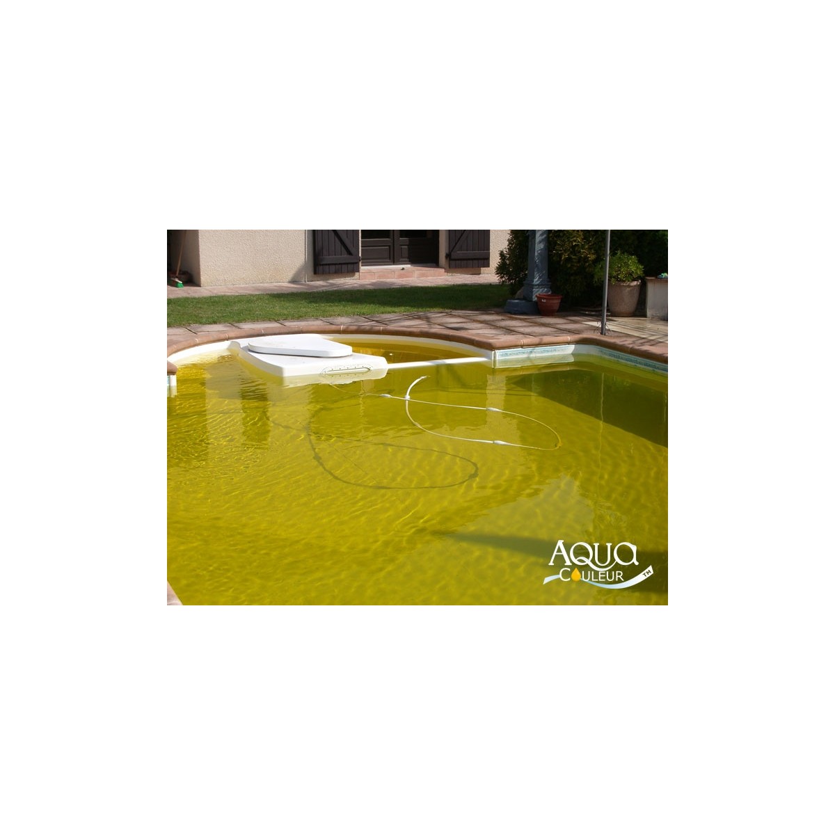 Aqua Couleur- MANGO temporary pool water colorant