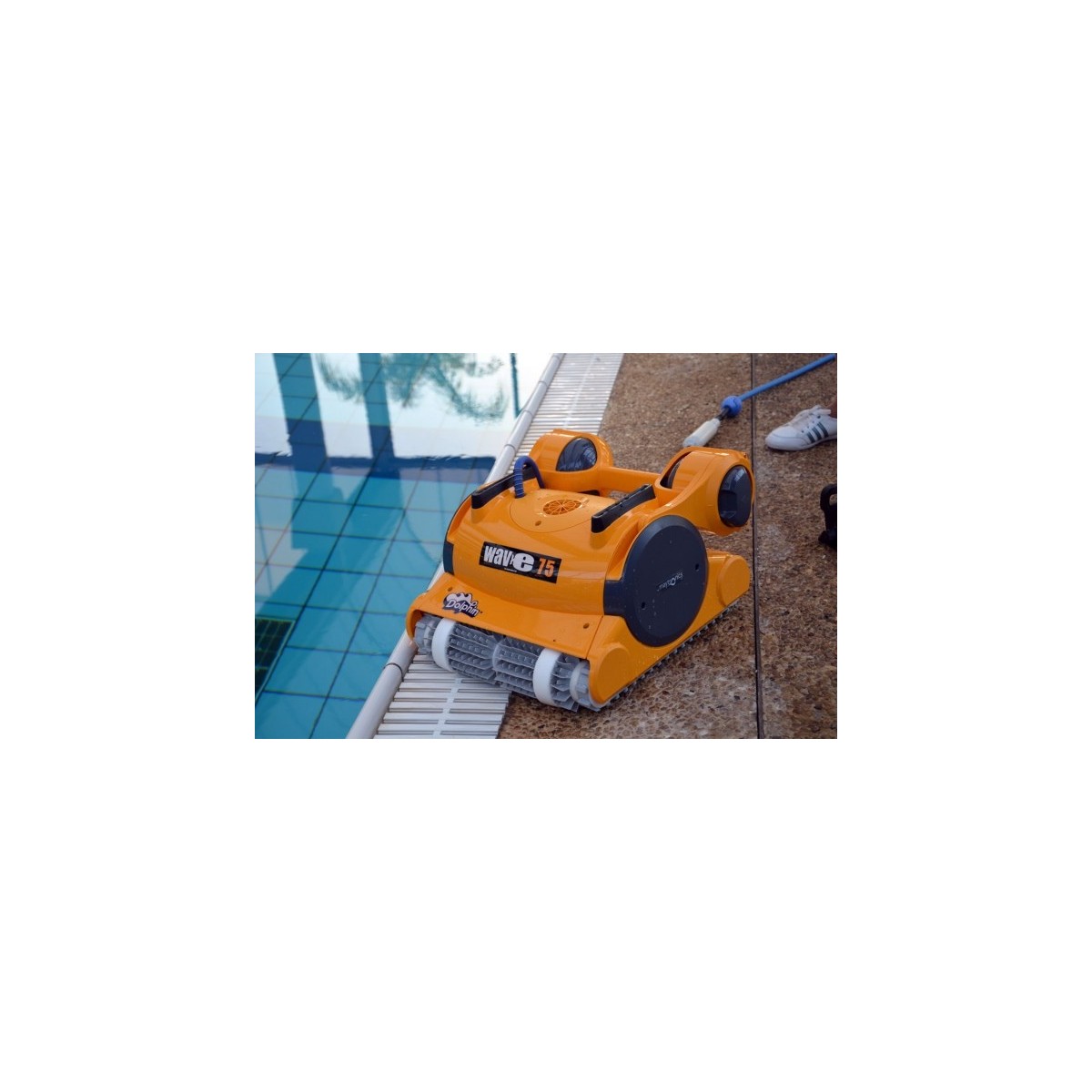 Robot piscina Dolphin WAVE 30 Maytronics con spazzole Kanebo