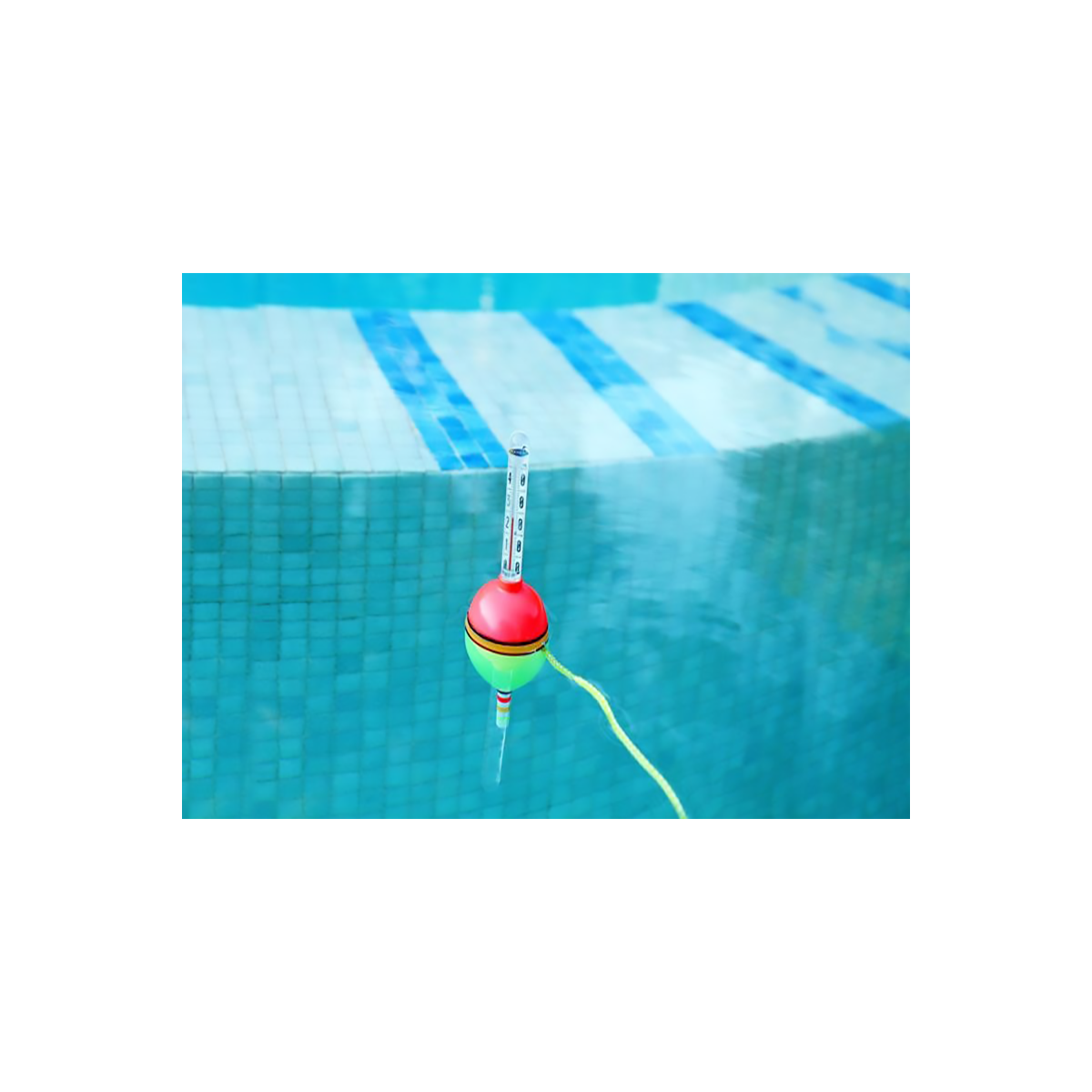 Thermometer Boa - Kerlis e Swim Ways | Vannini Aqua&Pool