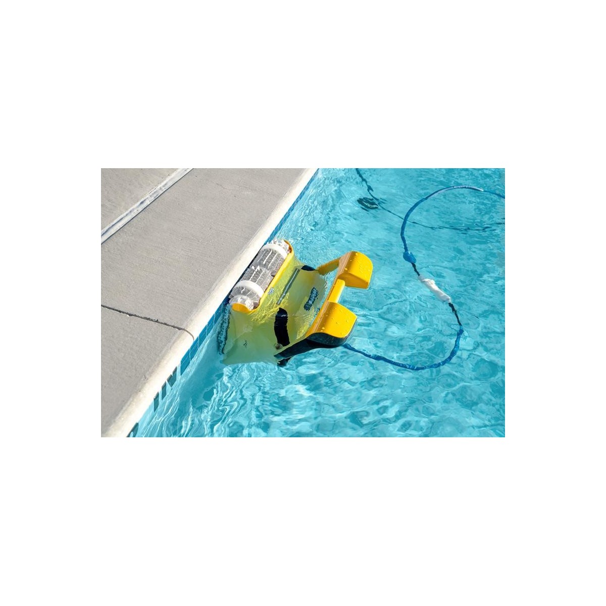 Buy Robotic pool cleaner Dolphin Wave 80 online |